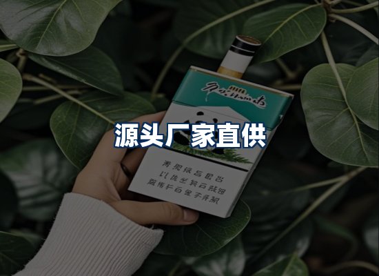 专业团队办公环境